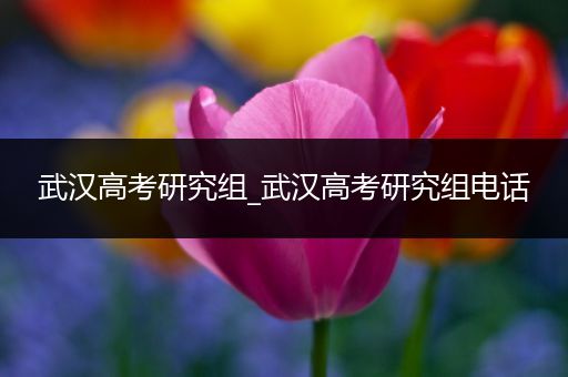 武汉高考研究组_武汉高考研究组电话