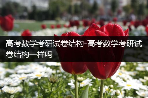 高考数学考研试卷结构-高考数学考研试卷结构一样吗