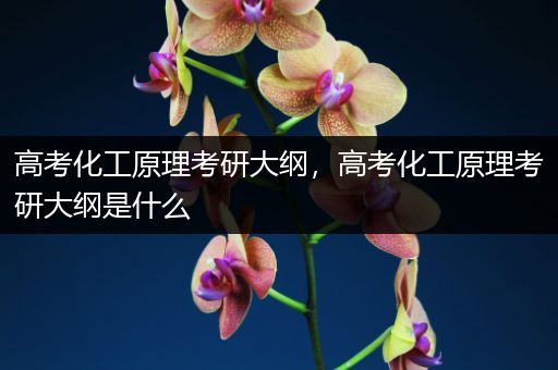高考化工原理考研大纲，高考化工原理考研大纲是什么