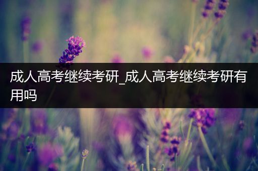 成人高考继续考研_成人高考继续考研有用吗