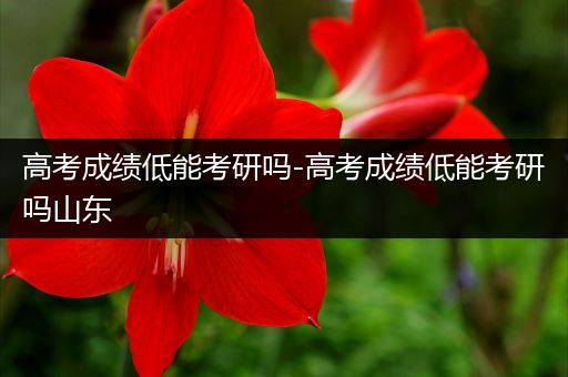 高考成绩低能考研吗-高考成绩低能考研吗山东