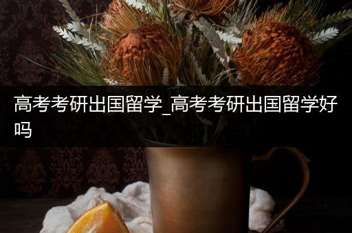 高考考研出国留学_高考考研出国留学好吗