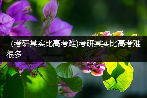 （考研其实比高考难)考研其实比高考难很多