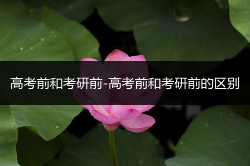 高考前和考研前-高考前和考研前的区别
