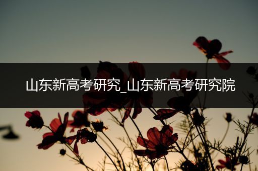 山东新高考研究_山东新高考研究院