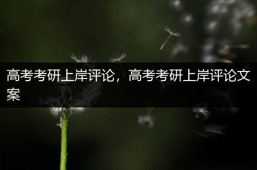 高考考研上岸评论，高考考研上岸评论文案