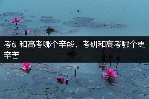 考研和高考哪个辛酸，考研和高考哪个更辛苦