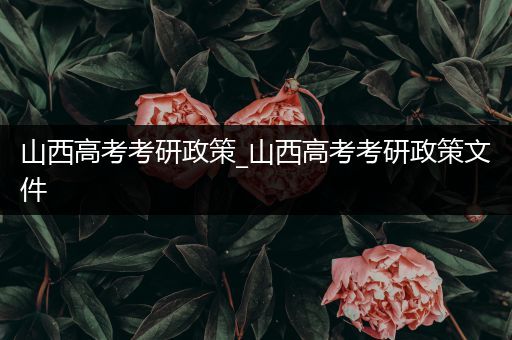 山西高考考研政策_山西高考考研政策文件