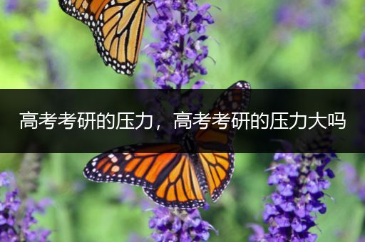 高考考研的压力，高考考研的压力大吗