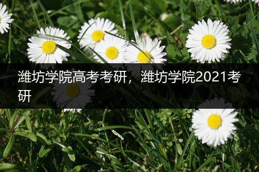 潍坊学院高考考研，潍坊学院2021考研