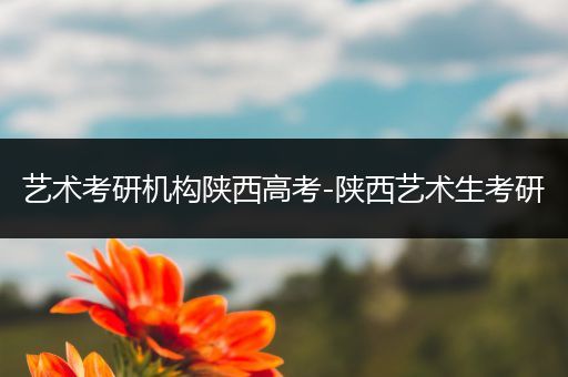 艺术考研机构陕西高考-陕西艺术生考研