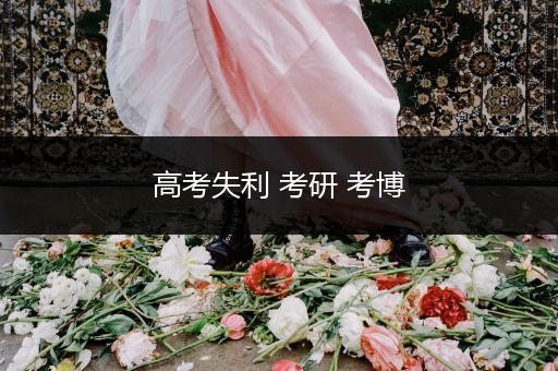 高考失利 考研 考博