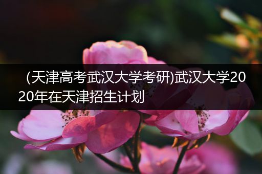 （天津高考武汉大学考研)武汉大学2020年在天津招生计划