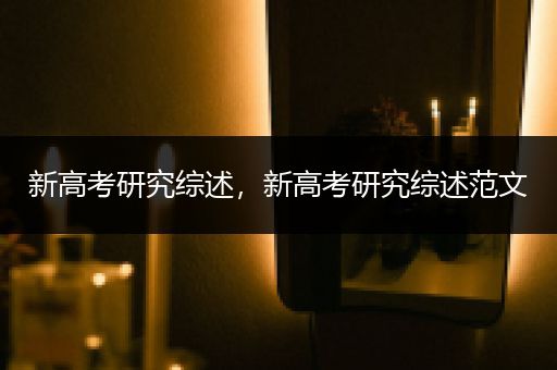 新高考研究综述，新高考研究综述范文