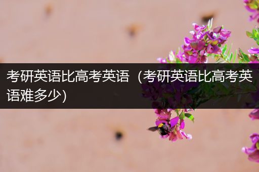 考研英语比高考英语（考研英语比高考英语难多少）