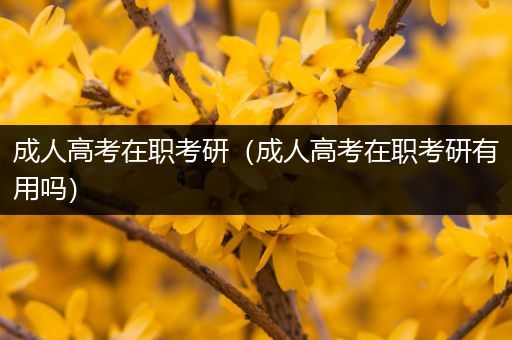 成人高考在职考研（成人高考在职考研有用吗）
