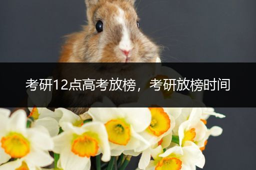 考研12点高考放榜，考研放榜时间