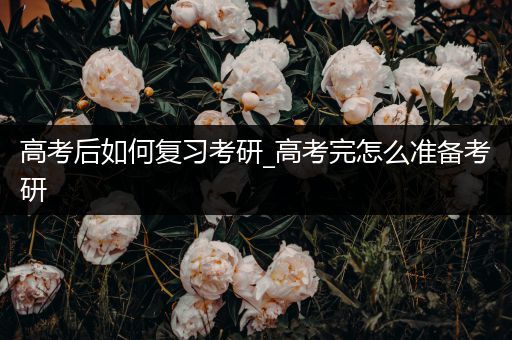 高考后如何复习考研_高考完怎么准备考研