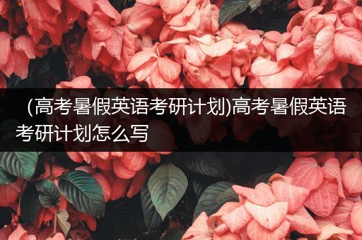 （高考暑假英语考研计划)高考暑假英语考研计划怎么写