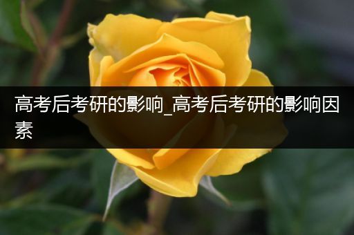 高考后考研的影响_高考后考研的影响因素