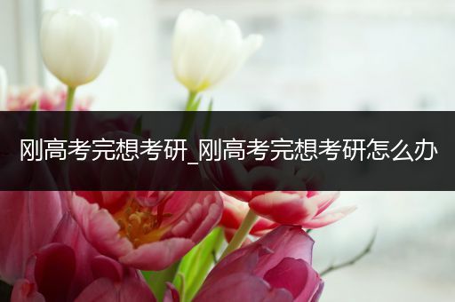 刚高考完想考研_刚高考完想考研怎么办